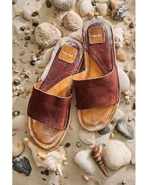 free-est Brown Sunrise Slide Sandals