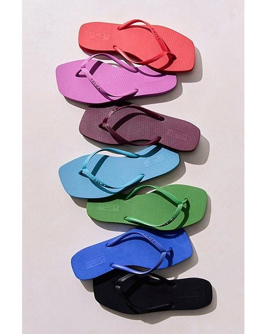 Brizza Arezzo Blue Going Coastal Flip Flops By