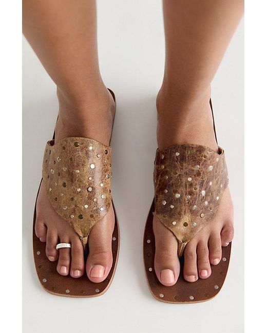 Free People Brown Amanda Toe Ring