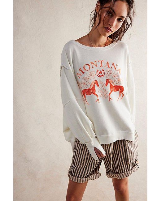 Free People Natural Graphic Camden Pullover At Free People In Coconut Combo Montana, Size: Xs