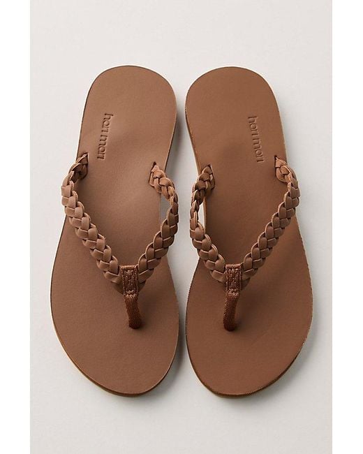 Hari Mari Brown Meadows Braided Flip Flops By
