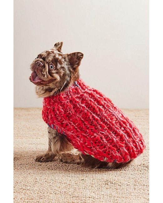 French Knot Red Chunky Dog Sweater By