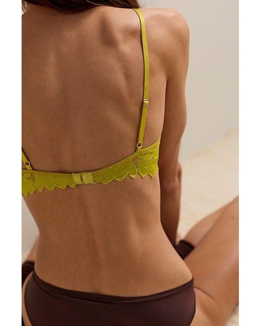 Intimately By Free People Brown Show Me Plunge Underwire Bra By