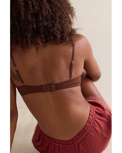 Intimately By Free People Brown Smooth Talking Lace Demi Underwire Bra By