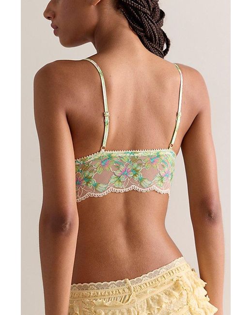 Intimately By Free People Brown Printed Lace Longline Triangle Bralette By