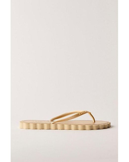 Brizza Arezzo Natural Cookie Cutter Scalloped Flip Flops By