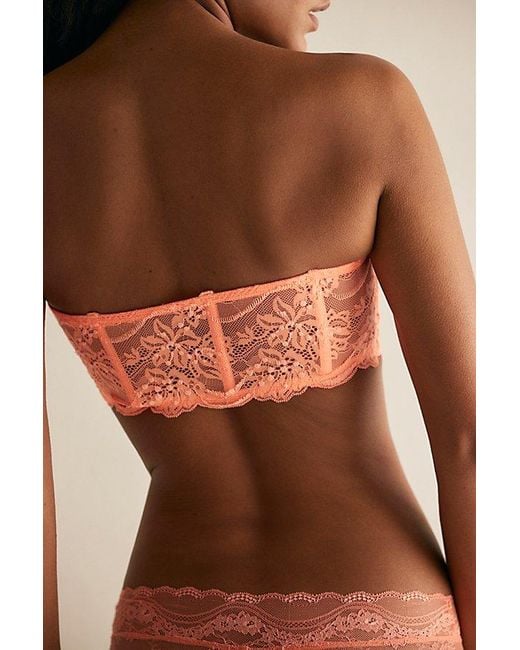 Intimately By Free People Brown Last Dance Lace Bandeau By