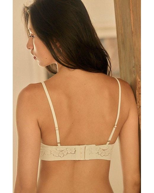 Intimately By Free People Brown Smooth Talking Lace Triangle Bralette By