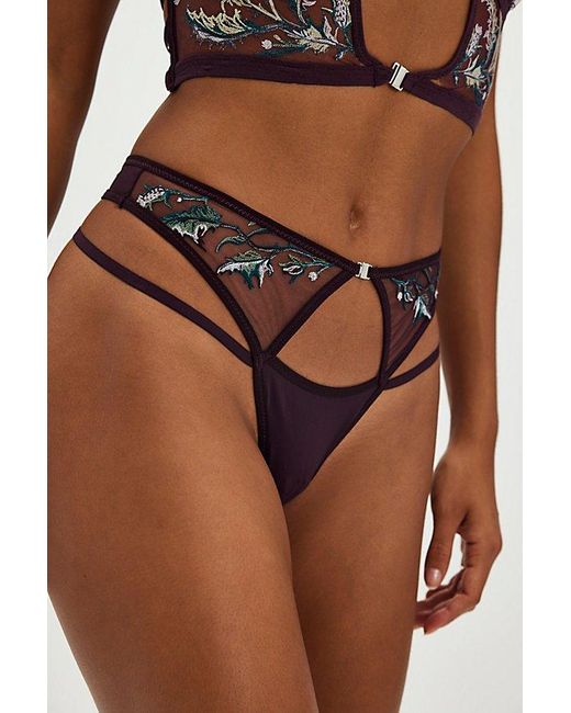 Thistle & Spire Brown Cirsi Thong