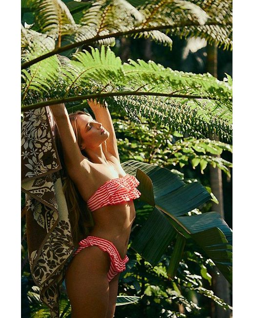 Solid & Striped Green The Kaia Bikini Bottoms