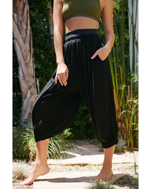 Sweatwater Boy Harem Casual Elastic Waist Cotton Solid Color Jogger Pants