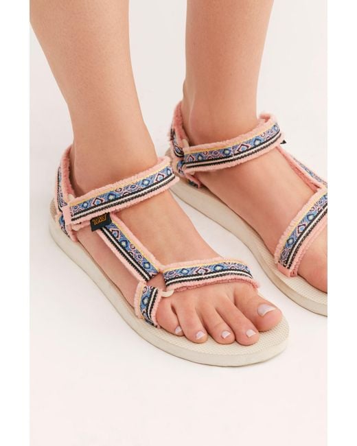Teva apricot store