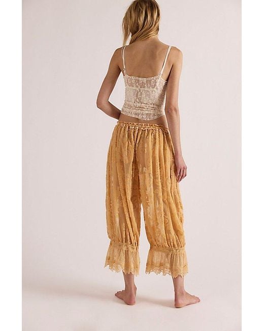 Free People Brown Forever Young Burnout Pants