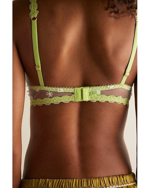 Free People Brown Dreamscape Underwire Bra