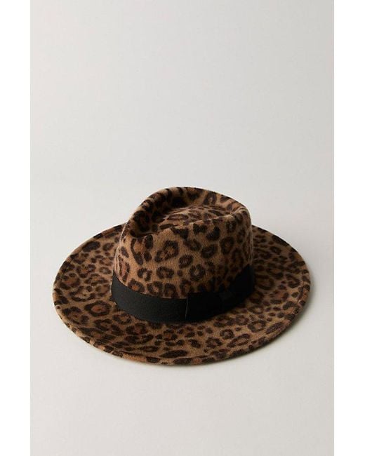 Free People Brown Carmen Leopard Brim Hat