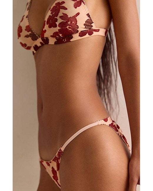 Intimately By Free People Brown Knit And Tell String Bikini Undies By