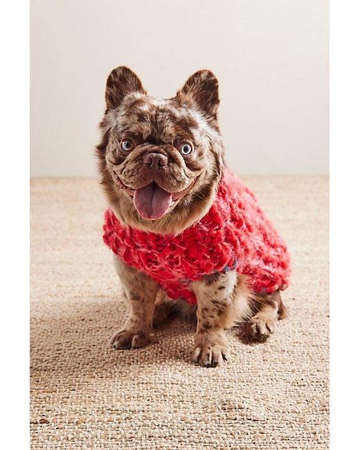 French Knot Red Chunky Dog Sweater By
