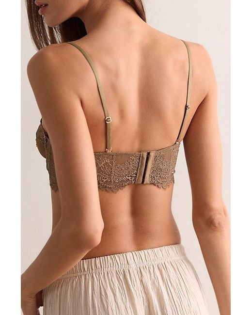 Intimately By Free People Brown Sweet Escapes Balconette Underwire Bra By