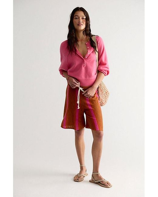 free-est Multicolor Surfs Up Sweater Shorts By