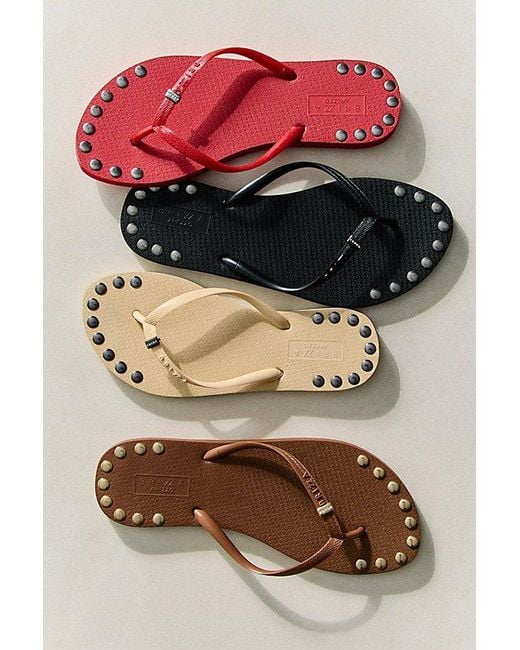 Brizza Arezzo Brown Keepsake Embellished Thong Sandals By