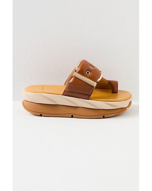 4Ccccees Brown Add To Cart Buckle Sandals