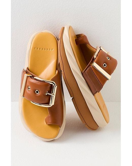 4Ccccees Brown Add To Cart Buckle Sandals