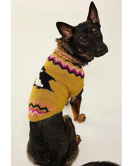 French Knot Green Penguin Sweater