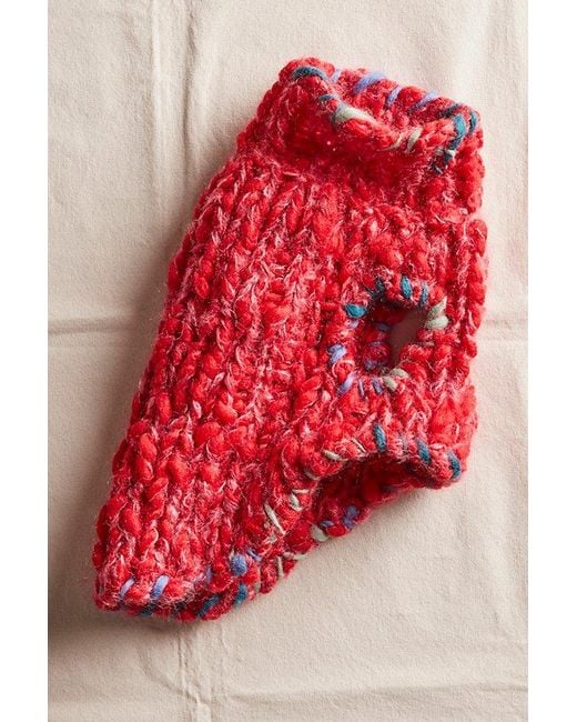 French Knot Red Chunky Dog Sweater By