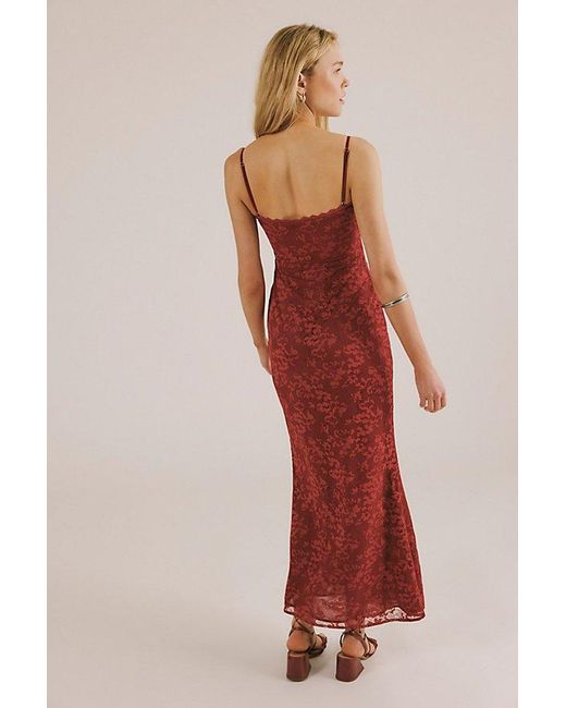 lexi lace maxi dress Studio Lexi Annie Lace Maxi Dress in Brown