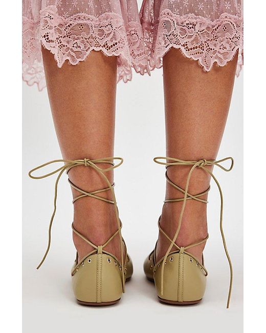 Jeffrey Campbell Brown Lauren Laced Flats