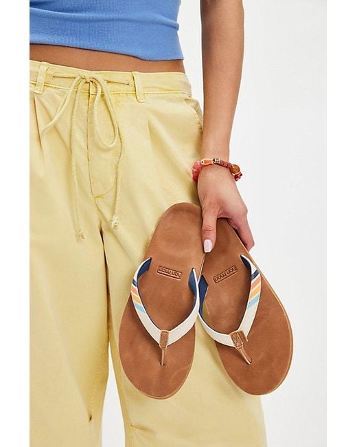 Hari Mari Brown Del Mar Surf Flip Flops By