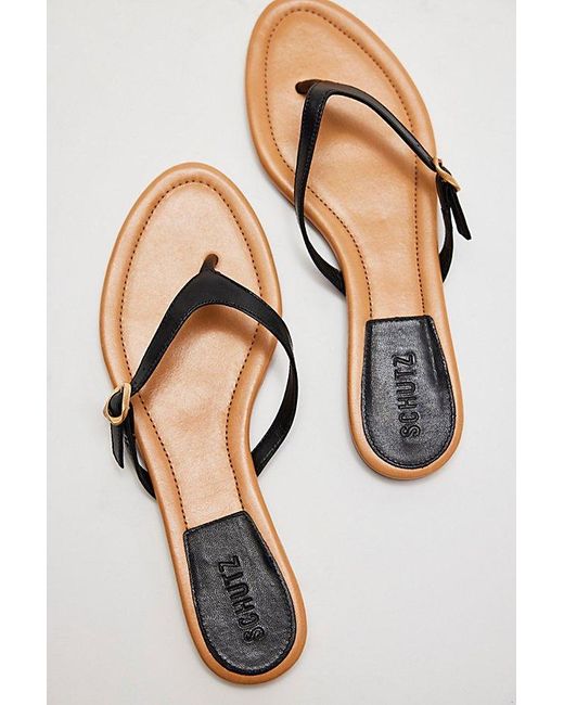 SCHUTZ SHOES Black Daria Buckle Flip Flops By