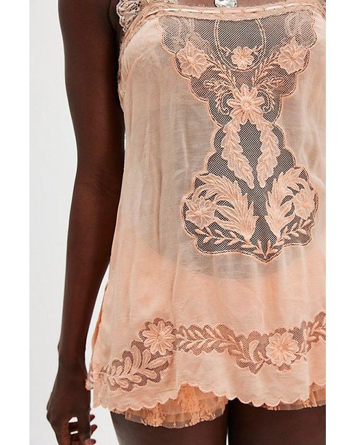 Free People Brown You'Re My Thrill Top