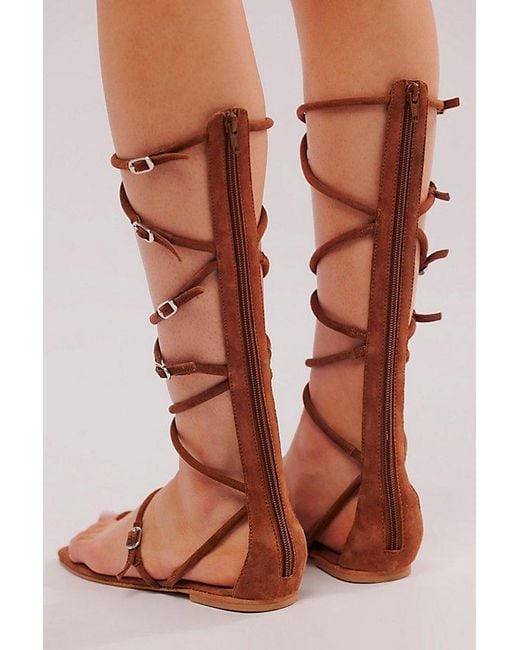 Jeffrey Campbell Brown Strawberry Fields Tall Gladiator Sandals
