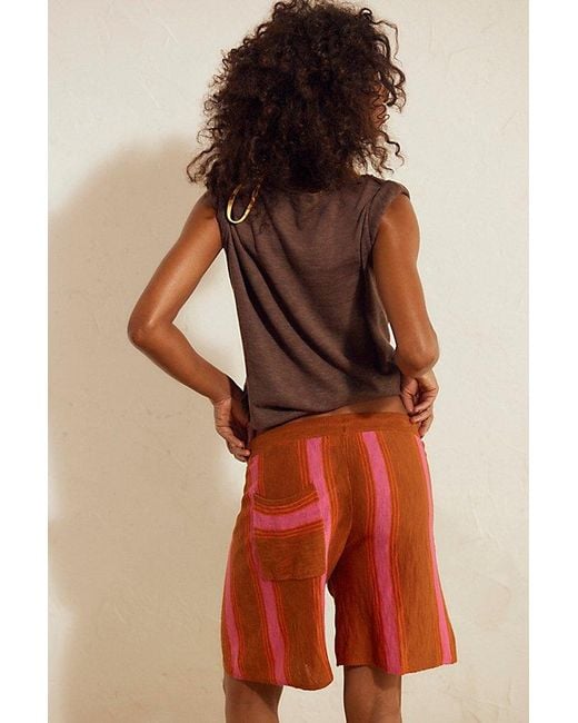 free-est Multicolor Surfs Up Sweater Shorts By