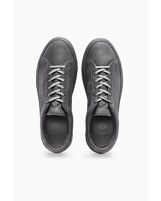 Koio Black Capri Sneakers