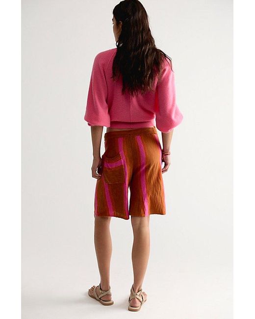 free-est Multicolor Surfs Up Sweater Shorts By