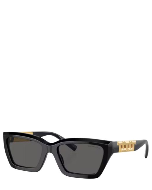 Tiffany & Co Black Sunglasses 4213 Sole