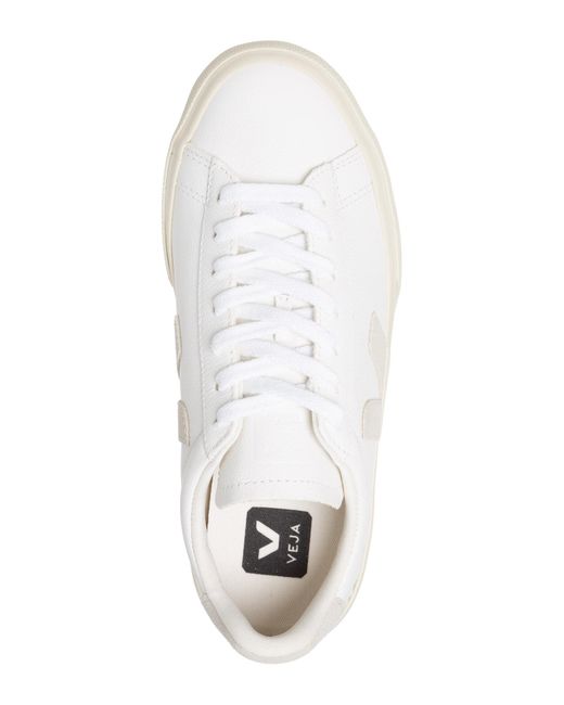 Veja White Campo Sneakers