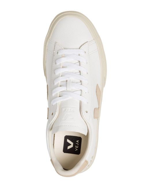 Veja White Campo Sneakers
