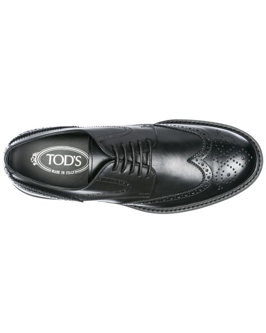 scarpe stringate tod's