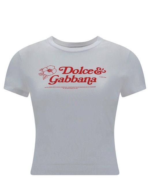 Dolce & Gabbana Gray T-shirt