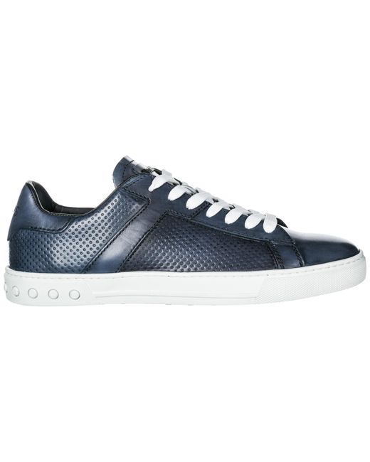 tods shoes sneakers