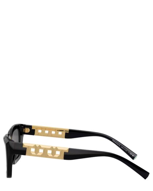 Tiffany & Co Black Sunglasses 4213 Sole