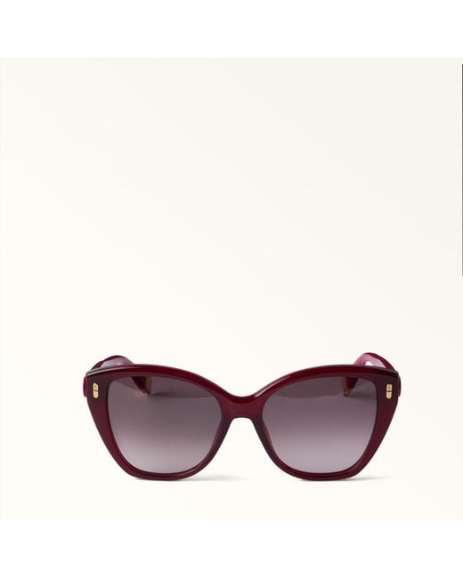 Furla Purple Sunglasses Ciliegia D Acetate