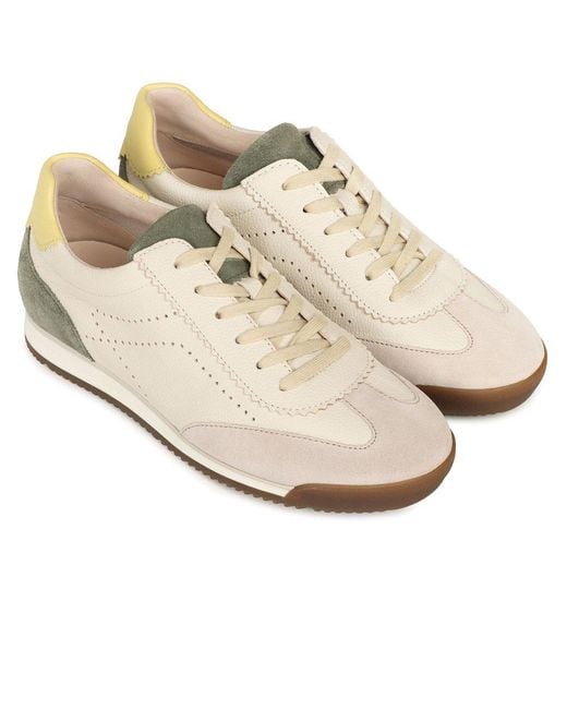 Gabor White Novice Trainers