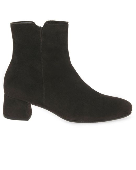 Gabor Black Abbey Ankle Boots