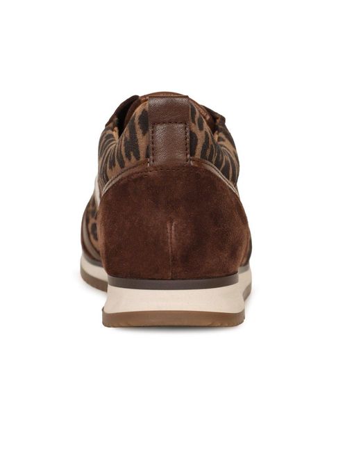 Gabor Brown Secret Trainers