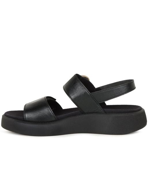 Gabor Black Pack Sandals