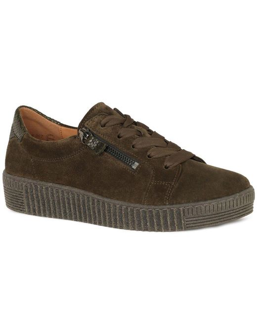 Gabor Brown Wisdom Trainers